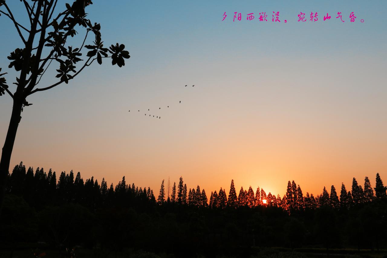 夕阳西欲没，宛转山气昏。