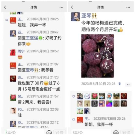 暖心的杨梅酒——吴国忠