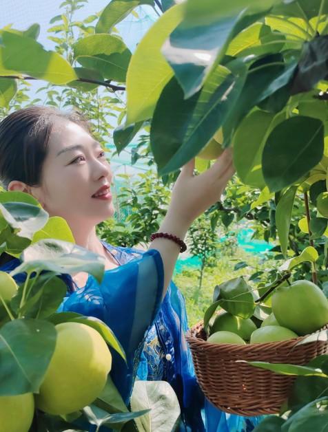 孙光——盛夏的果实